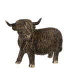 Highland koe - staand