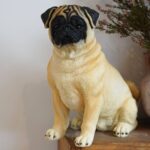 Decoratief figuur - Mopshond